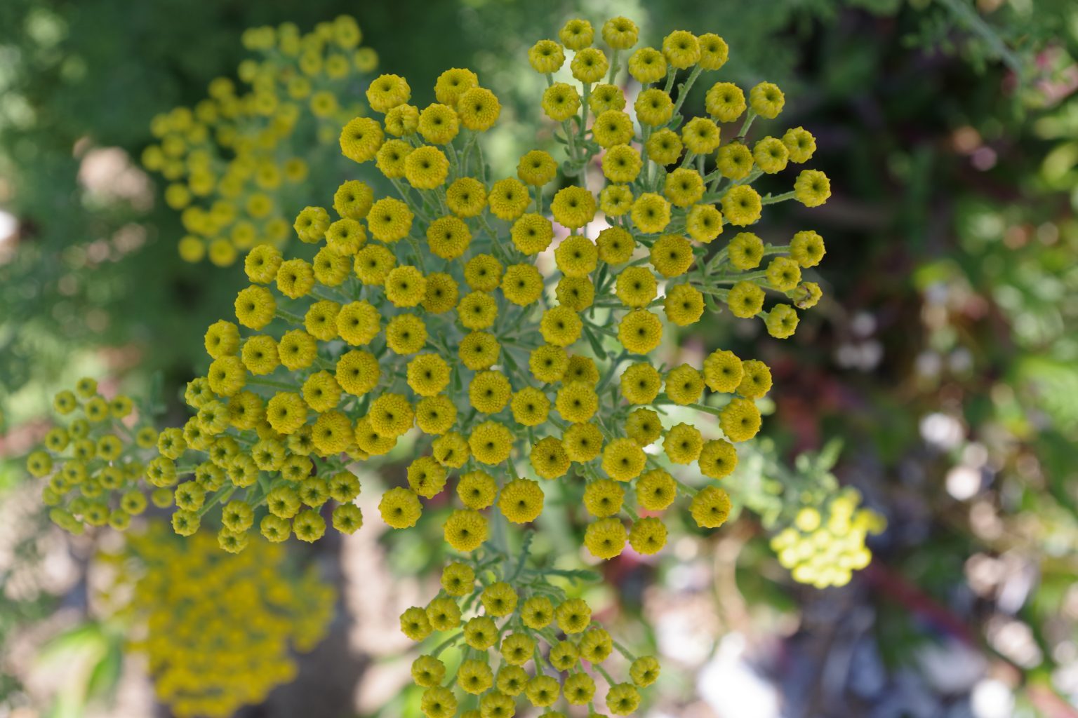 Team Akademie Lernende Demokratie Team Akademie Lernende Demokratie